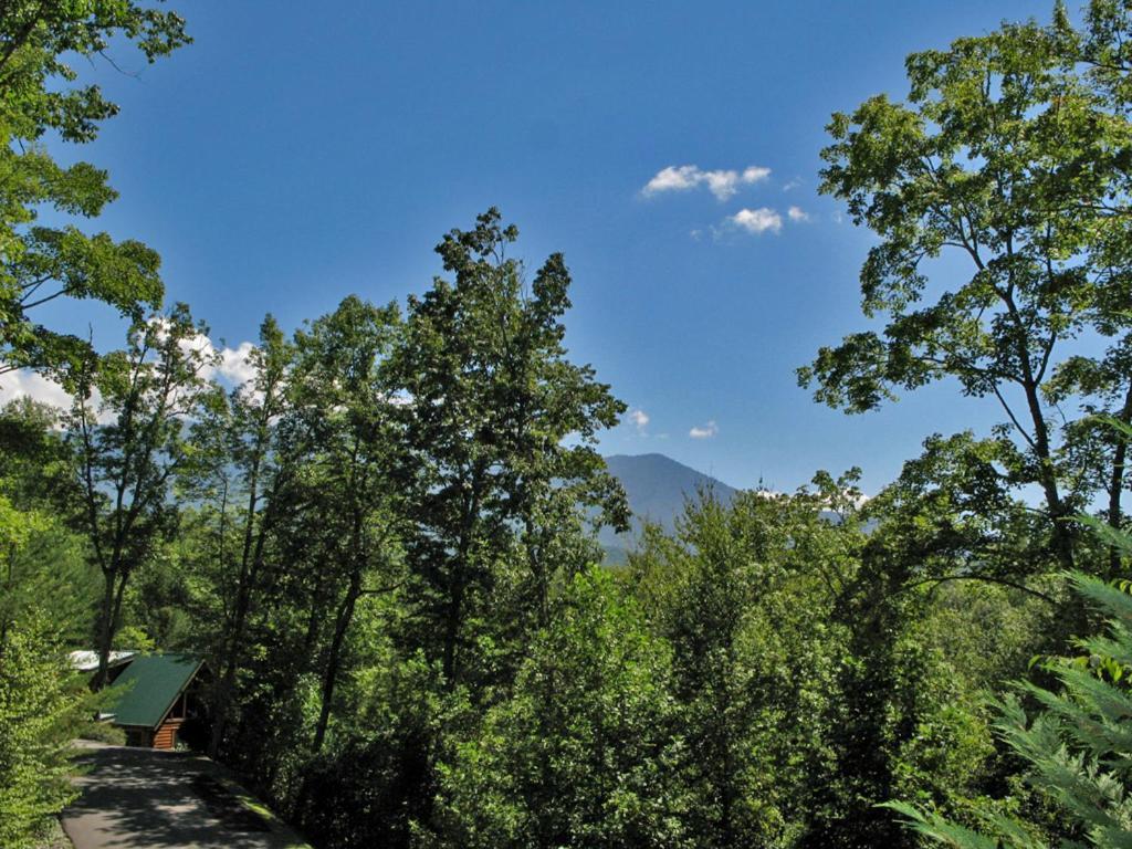 Bear'S Corner, 3 Bedrooms, Wifi, Pool Table, Hot Tub, Wifi, Sleeps 10 Гатлинбург Экстерьер фото